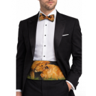 Safari Lion Print Cummerbund & Bow Tie Set - Elegant Animal-Themed Formal Wear for Men - Great Gift for Adventure Seekers